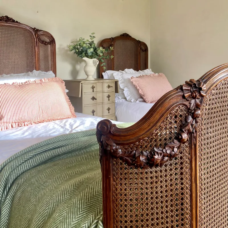 Pair of antique mahogany rattan single beds
